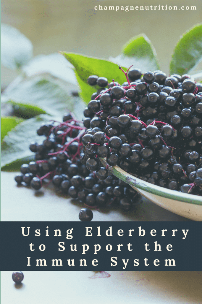 Using Elderberry to Support the Immune System