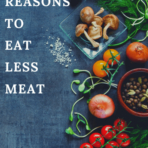 Reasons to Eat Less Meat