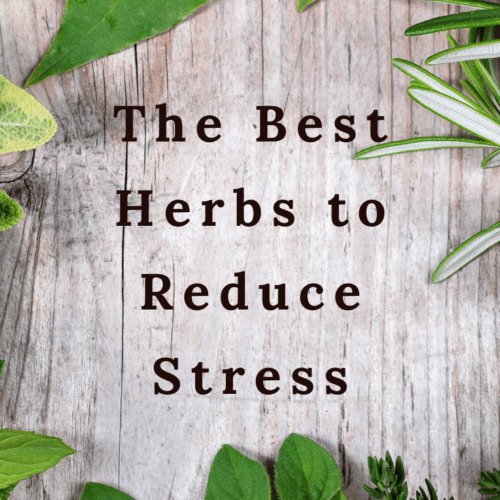 The Best Herbs to Reduce Stress 