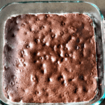 perfectly baked brownies in a glass pan with chocolate chips visible